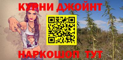 индика Заводоуковск