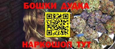 индика Заводоуковск