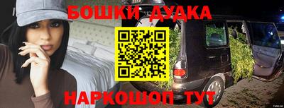 индика Заводоуковск