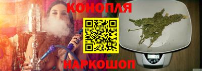 индика Заводоуковск