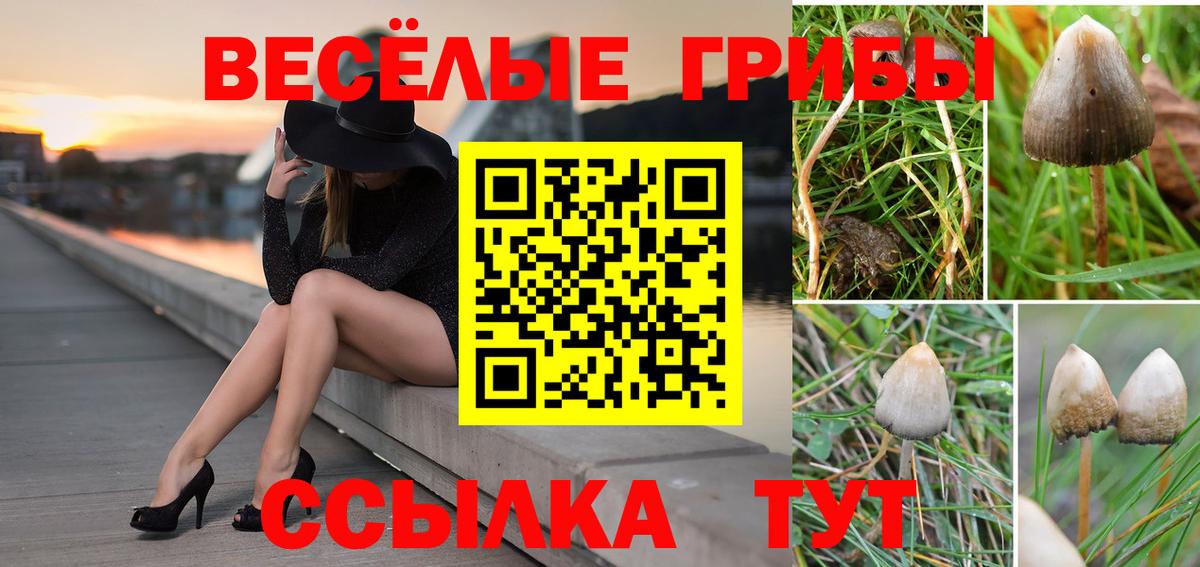 Галлюциногенные грибы Magic Shrooms Лениногорск